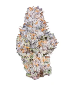 Gelato Kush Strain