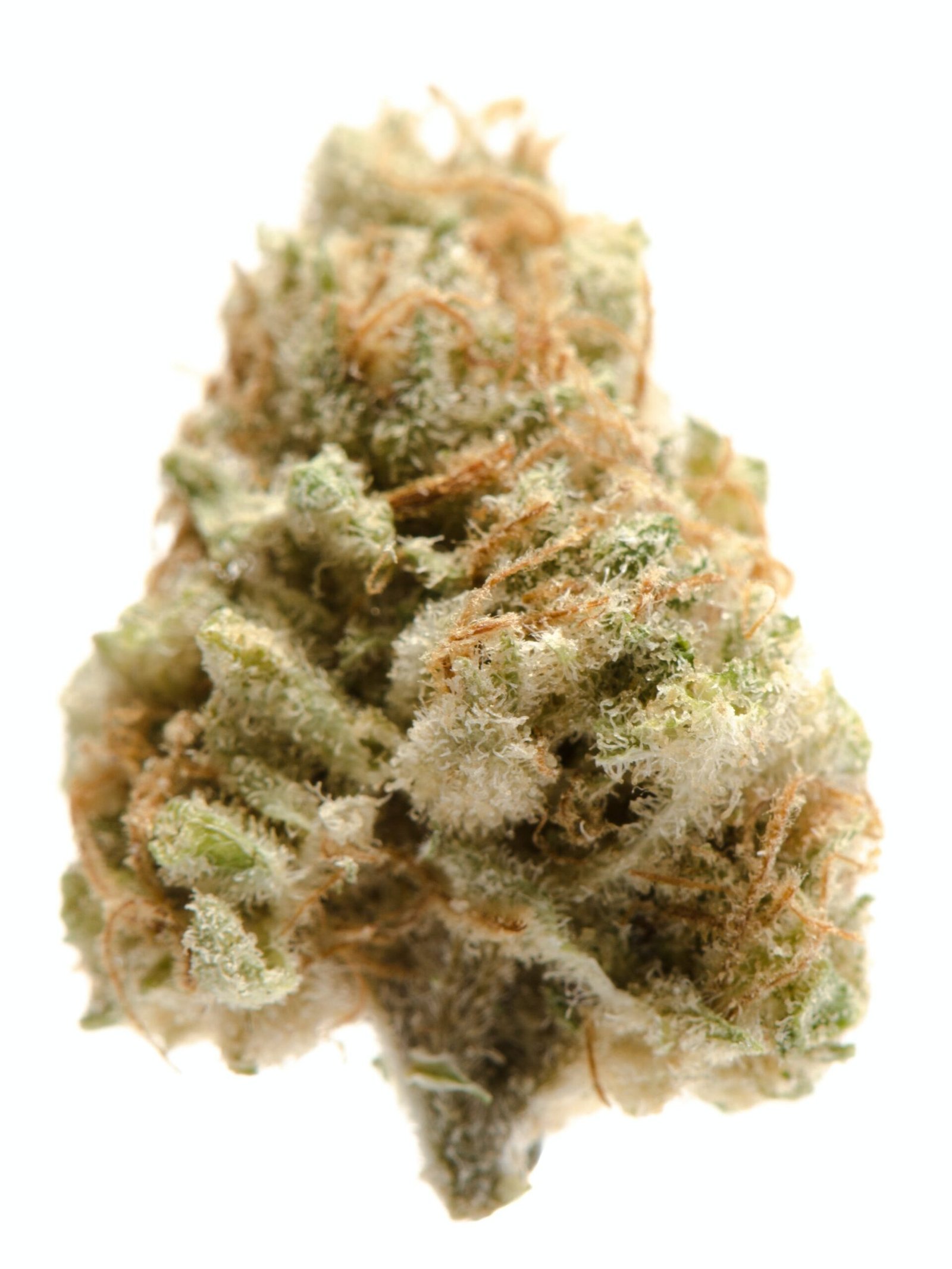 Banana Kush Strain 3 Banana Kush Strain