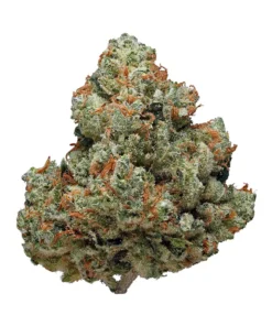 Chemdawg Kush Strain