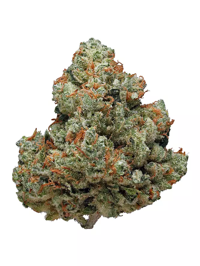 Chemdawg Kush Strain 3 Chemdawg Kush Strain