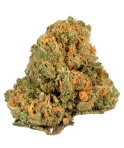 Jack Herer