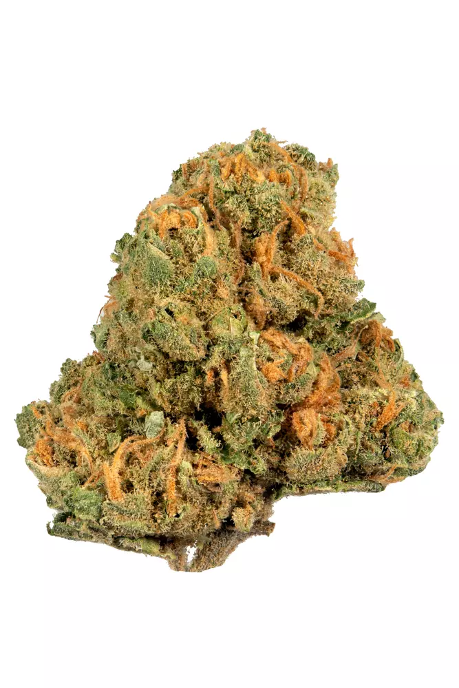 Jack Herer 3 Jack Herer