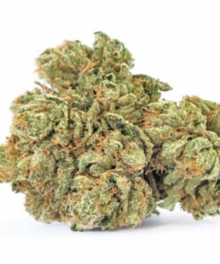 Maui Wowie Kust Strain
