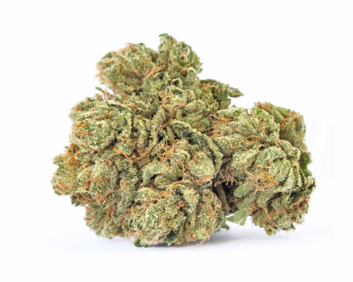 Maui Wowie Kust Strain 3 Maui Wowie Kust Strain