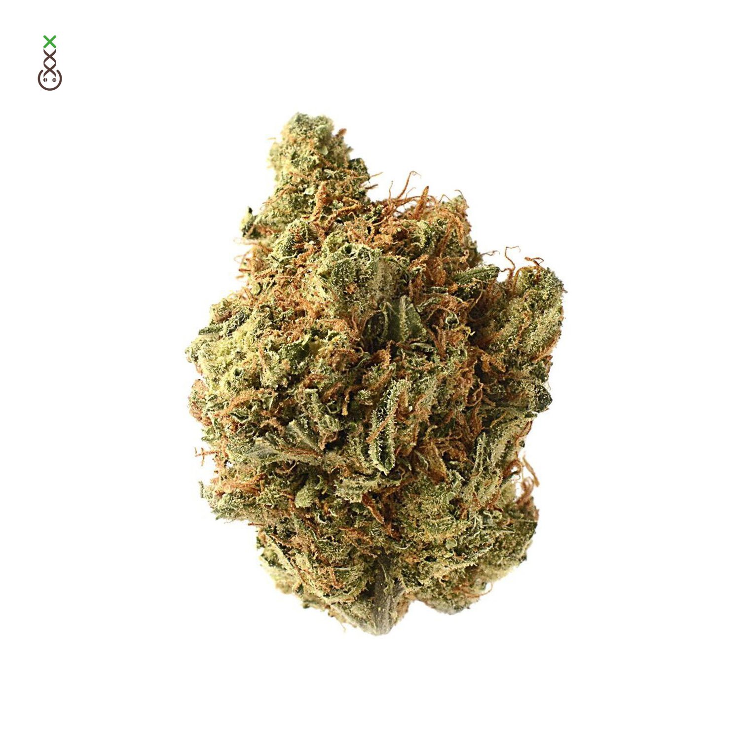 Amnesia Haze Strain 3 Amnesia Haze Strain