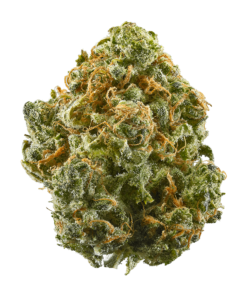 Blue Dream Strain