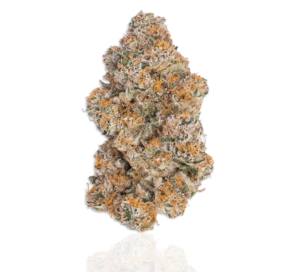 Durban Poison Strain 3 Durban Poison Strain