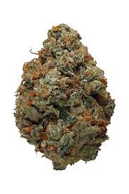 OG Kush Strain