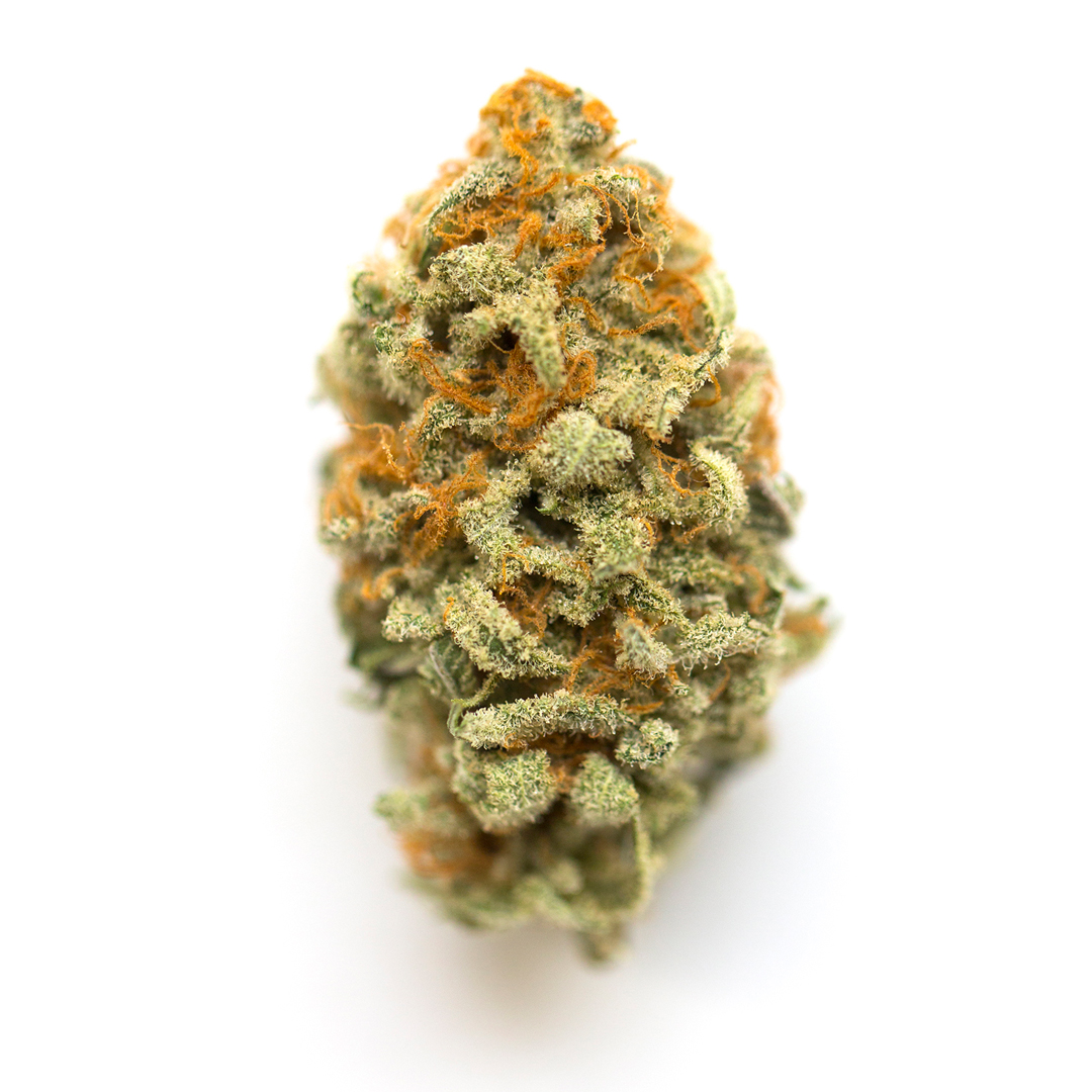 Panama Red 3 Panama Red