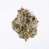Cinderella 99 (C99) Strain