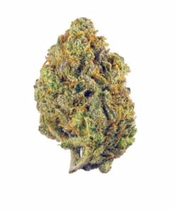 Super Lemon Haze