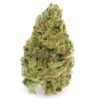 Super Silver Haze strain 1 super silver haze