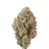 Tangie Kush Strain 1 tangie marijuana strain