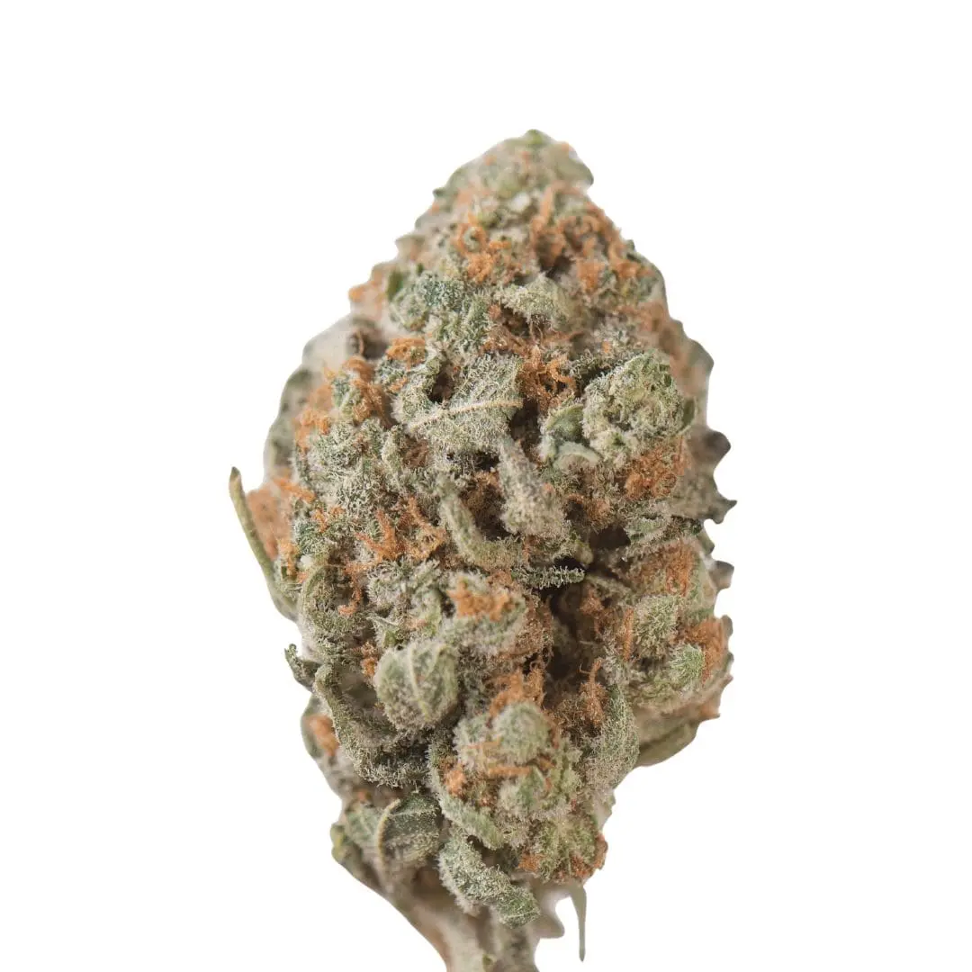 Tangie Kush Strain 3 Tangie Kush Strain