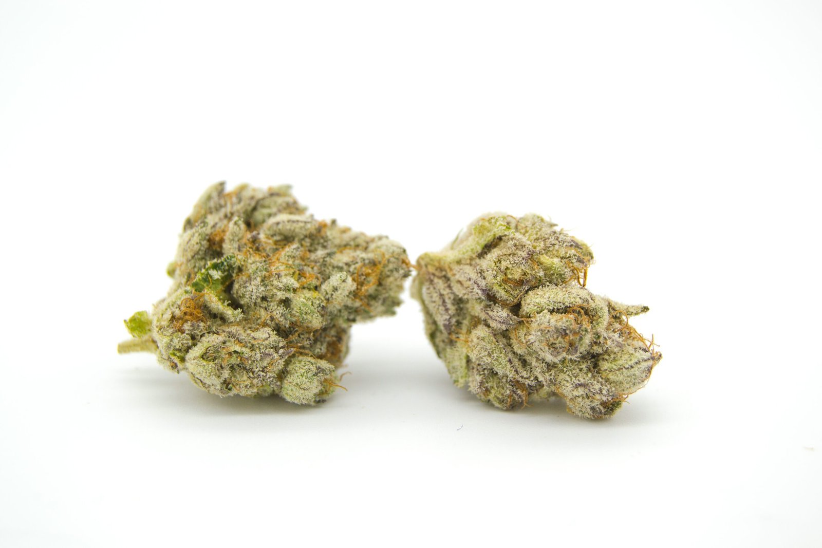 Trainwreck Kush Strain 3 Trainwreck Kush Strain