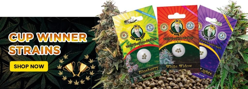 HOME 1 cup winner strains