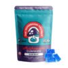 The Mushroom Project Mushroom Gummies | (10ct) 6000mg 1 the mushroom project 6000mg gummies blue razz