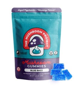 The Mushroom Project Mushroom Gummies | (10ct) 6000mg