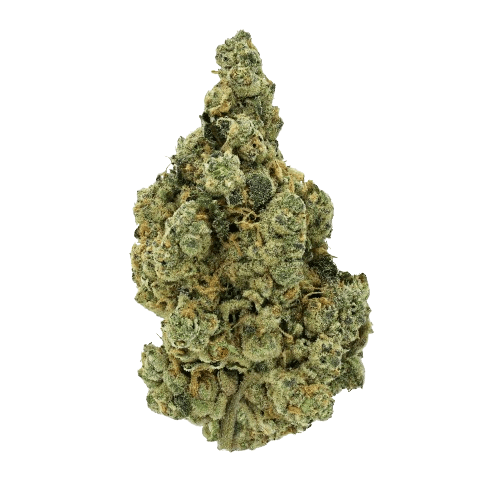 Donny Burger Strain 3 Donny Burger Strain