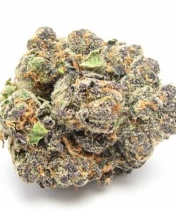 Thin Mints Strain