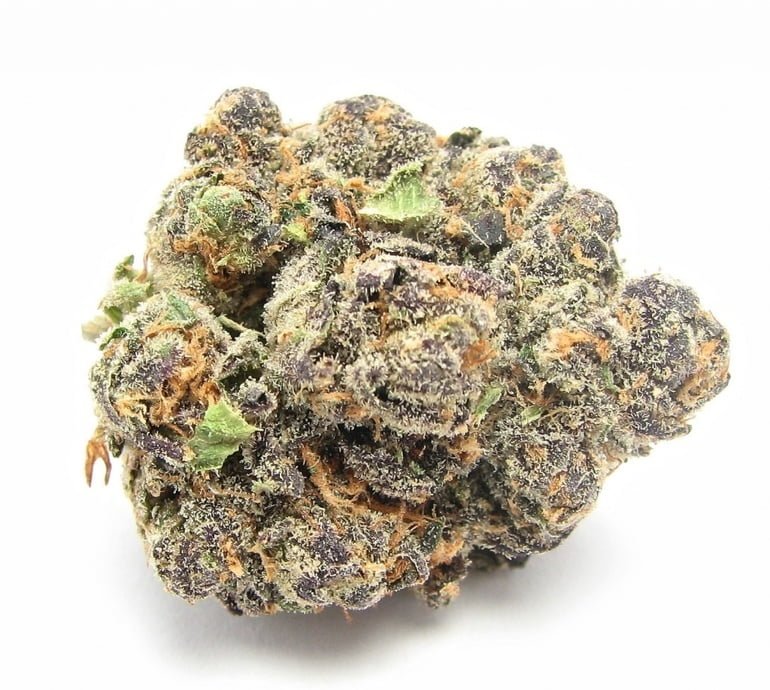 Thin Mints Strain 3 Thin Mints Strain