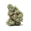 Classy Italian Ice Strain 2 Italian Ice Strain