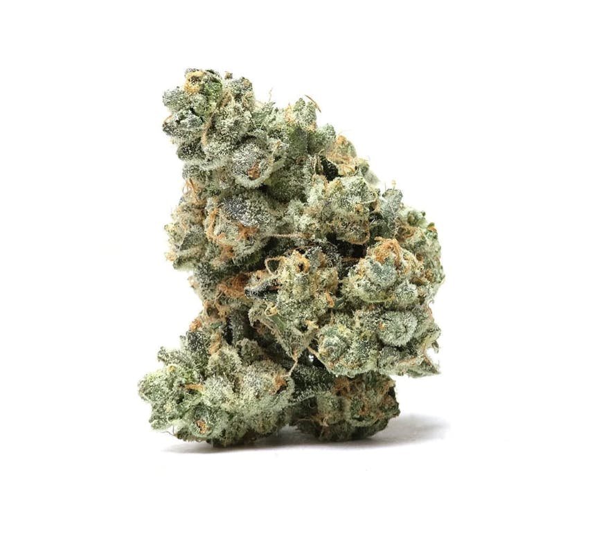 Classy Italian Ice Strain 3 Italian Ice Strain