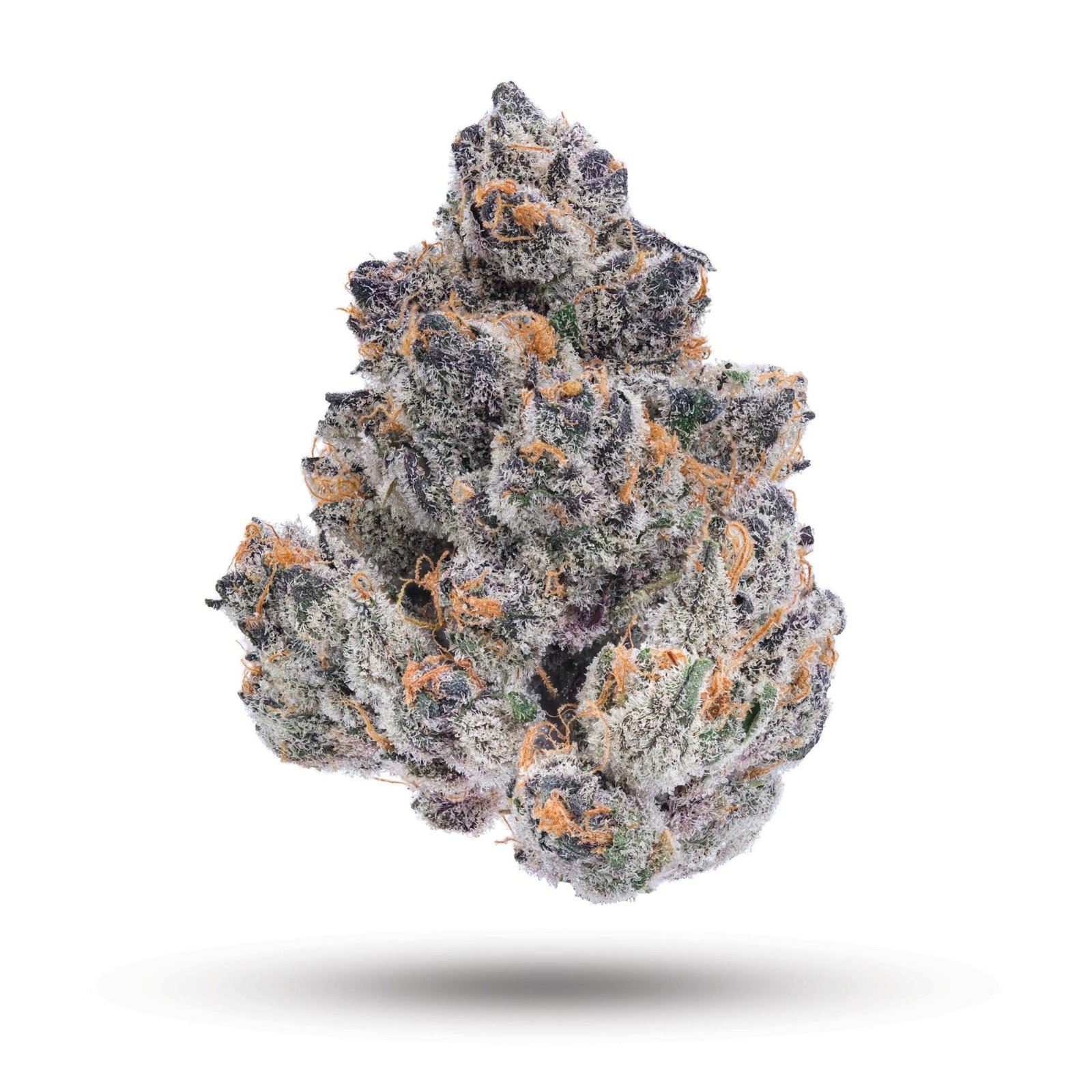 Super Boof Strain 3 Super Boof Strain