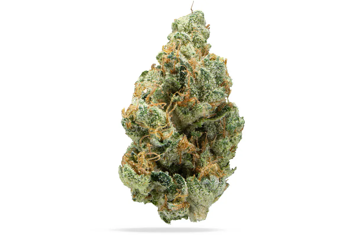 Apples And Bananas Strain 3 Apples And Bananas Strain