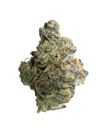 GMO Strain 3 GMO Strain