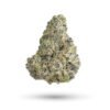 Gusher Mints Strain 1 Gusher Mints Strain