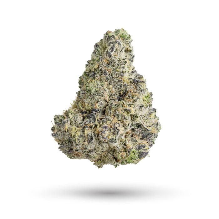 Gusher Mints Strain 3 Gusher Mints Strain