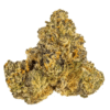 Gelato 41 Strain 1 Gelato 41 Strain
