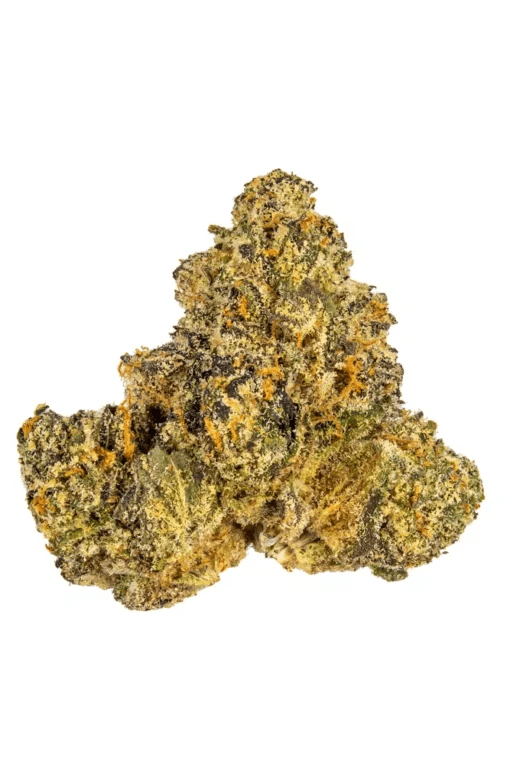 Gelato 41 Strain 3 Gelato 41 Strain