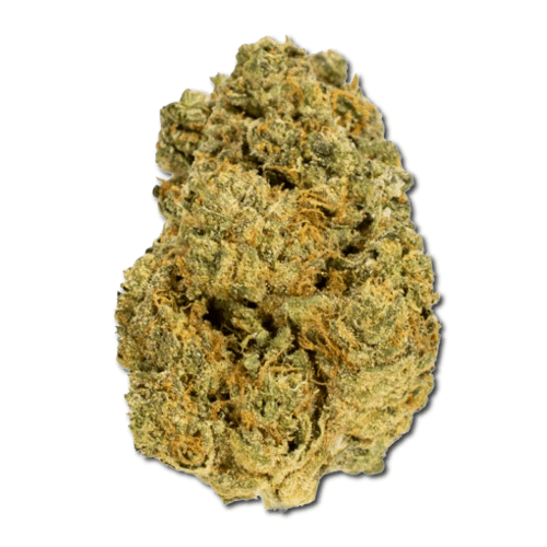 Black Cherry Gelato Strain 3 Black Cherry Gelato Strain