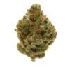 Gorilla Glue Strain