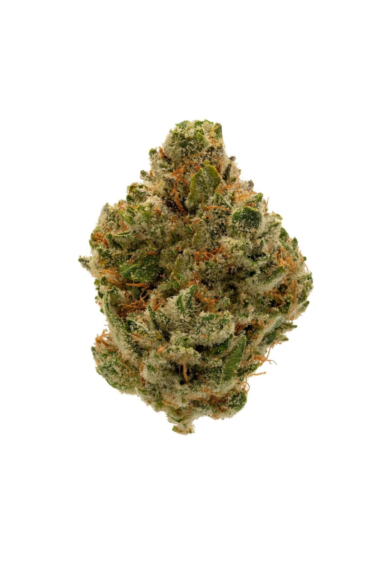 Gorilla Glue Strain 3 Gorilla Glue Strain