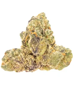 Jet fuel Gelato Strain