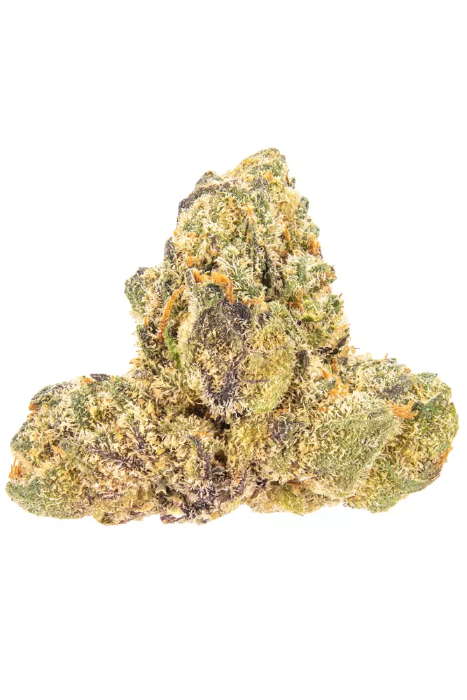 Jet fuel Gelato Strain 2 Jet fuel Gelato Strain