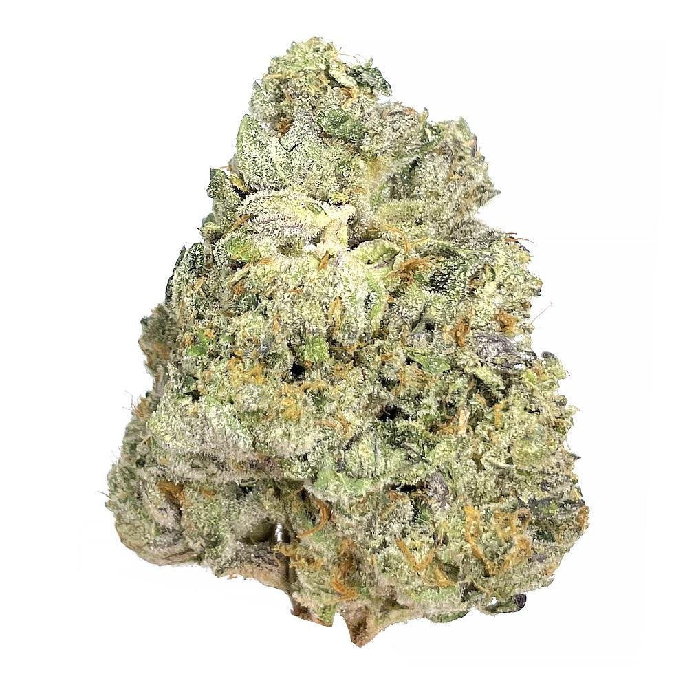Animal Face Strain 2 Animal Face Strain