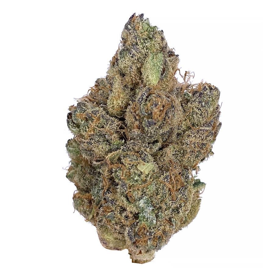 Tropical Runtz Strain 3 Tropical Runtz Strain