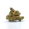Kush Mints Strain 2 Kush Mints Strain