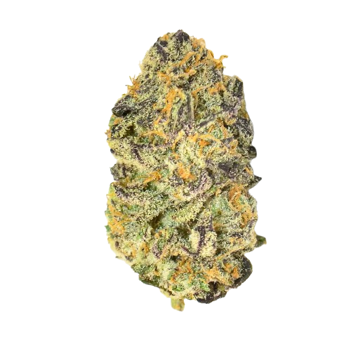 Pure Michigan Strain 3 Pure Michigan Strain