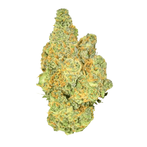 Rainbow Sherbet Strain 3 Rainbow Sherbet Strain