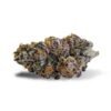 Purple Punch Strain 1 Purple Punch Strain