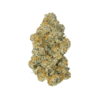 Lava Cake Strain 2 Lava Cake Strain