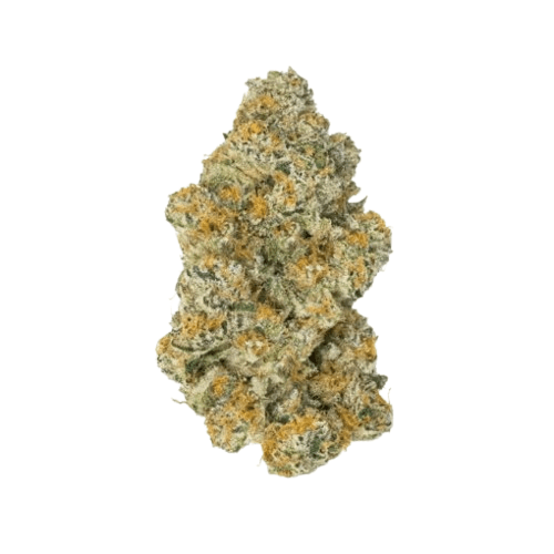 Lava Cake Strain 3 Lava Cake Strain