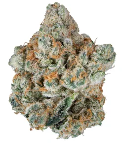 London Pound Cake Strain