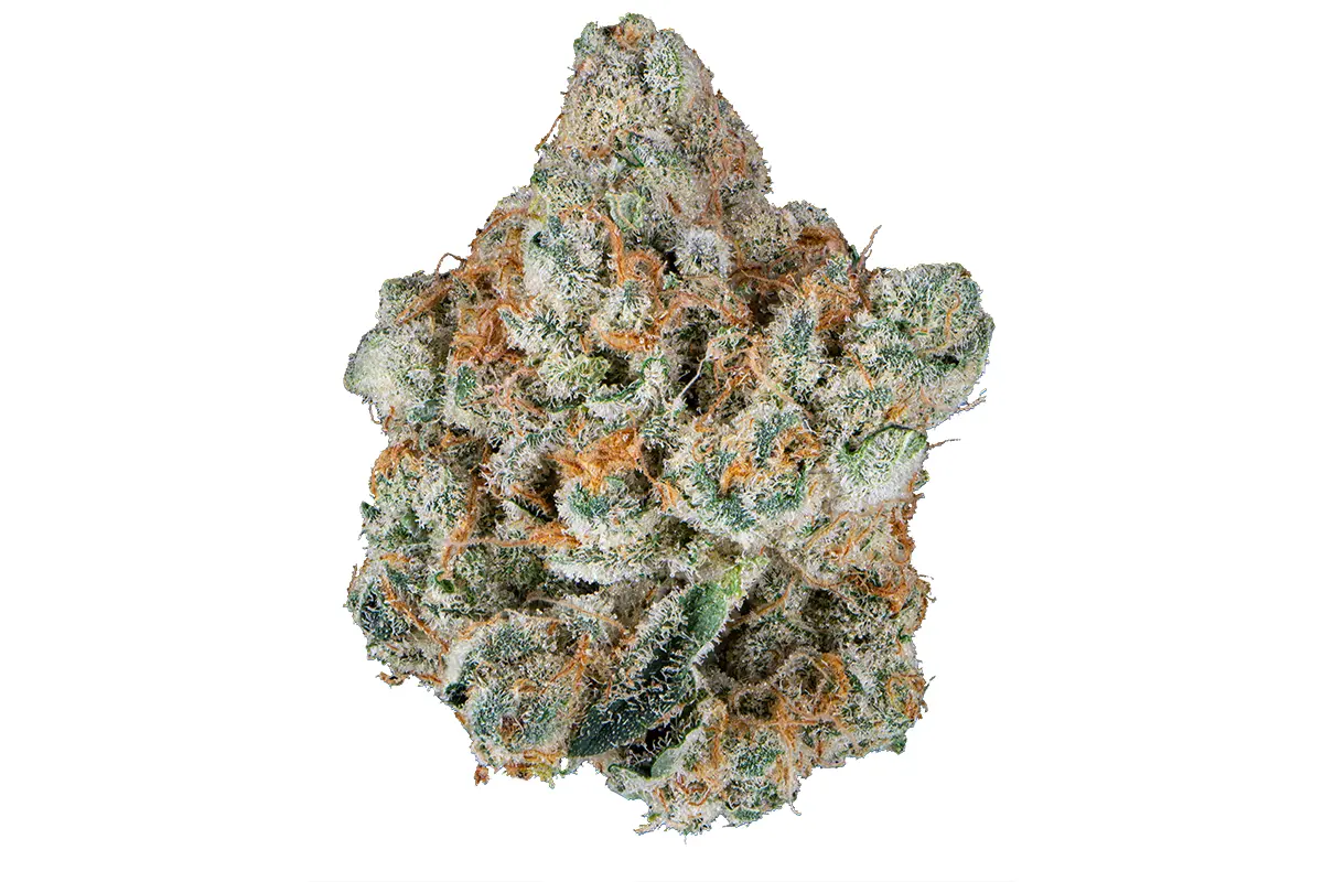 London Pound Cake Strain 3 London Pound Cake Strain