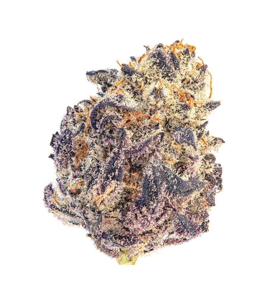 Oreo Runtz Strain 3 Oreo Runtz Strain